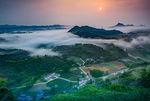 集團(tuán)全力助推安徽六安霍山縣委托招商引資，著力打造支柱型特色產(chǎn)業(yè)高質(zhì)發(fā)展